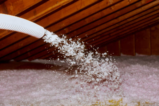 Best Insulation Removal  in Citrus Park, FL