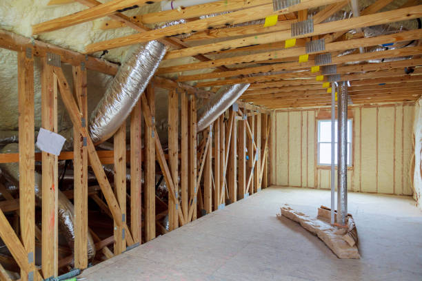 Best Local Insulation Services  in Citrus Park, FL