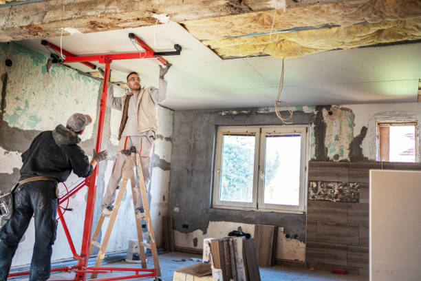 Best Affordable Insulation Services  in Citrus Park, FL