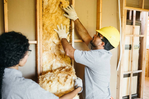 Best Residential Insulation Services  in Citrus Park, FL